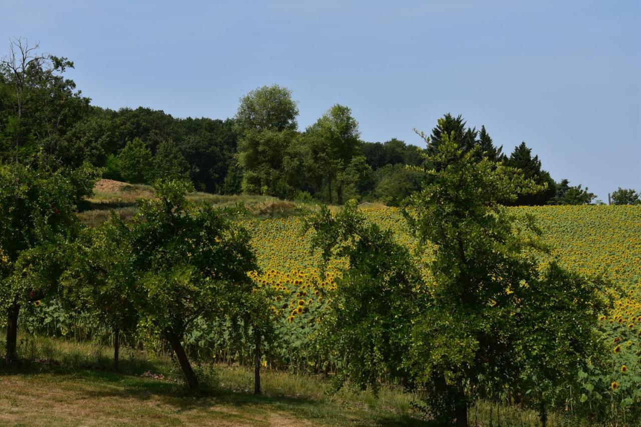 Domaine De Calbiac Bed and Breakfast Dolmayrac Eksteriør billede